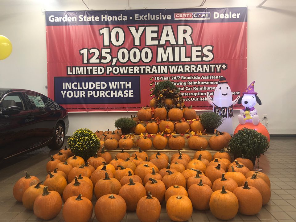 Pumpkin Giveaway