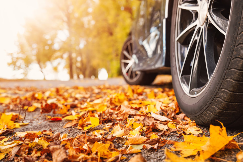 Car on asphalt road on autumn day at park