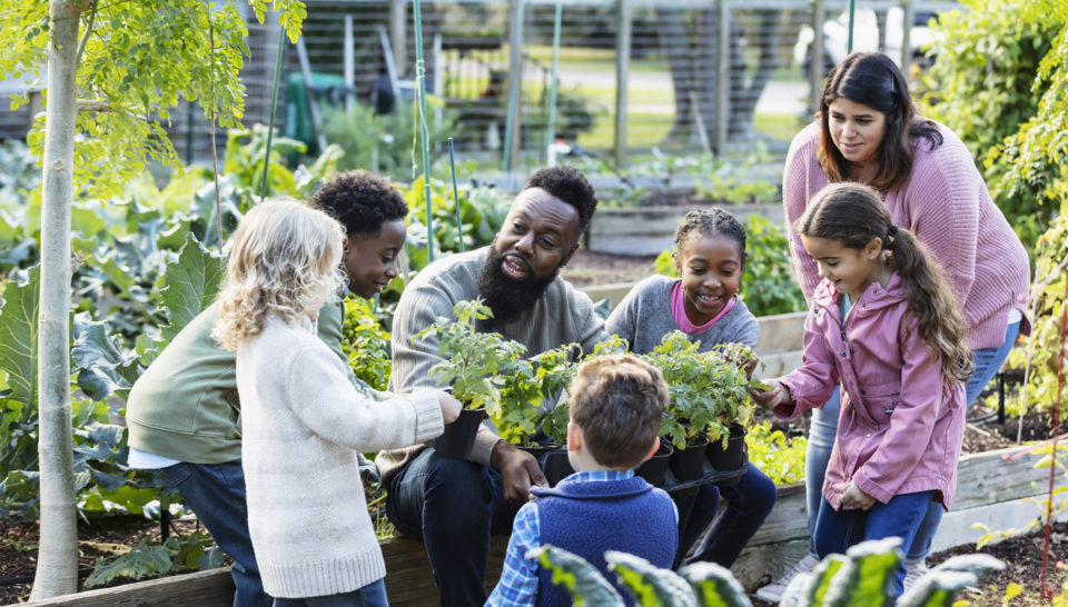 Kids in a community garden