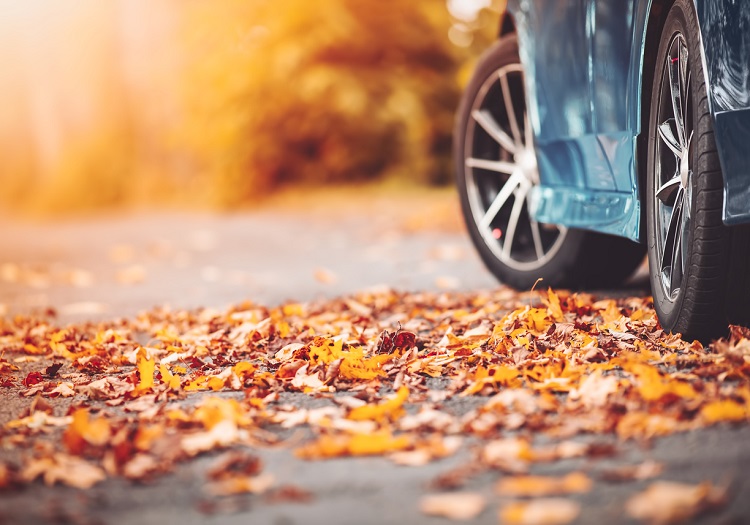 Blue car on the road in the natural park. Beautiful view of the autumnal way with colorful leaves on it.