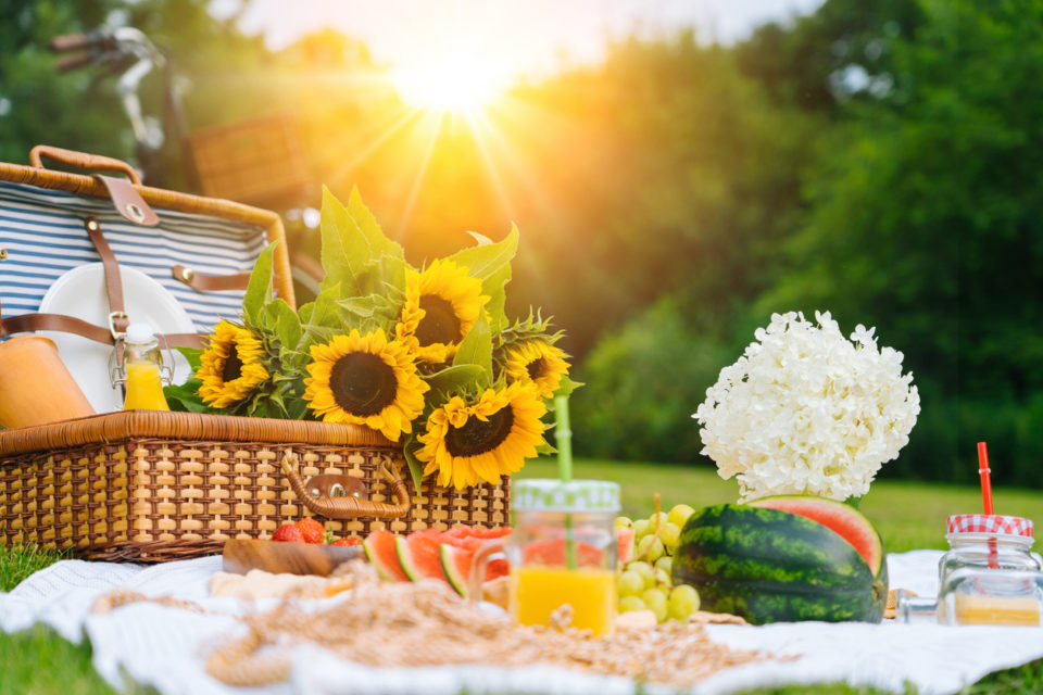 Summer picnic concept on sunny day with watermelon, fruit, bouquet hydrangea and sunflowers flowers. Picnic basket on grass with food and refreshing summer drink on white knit blanket. Selective focus